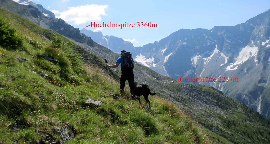 Ein Selten Begangener Klassiker Die Mojsisovicsspitze Urlaub In Mallnitz Molltal Nationalpark Hohe Tauern Karnten Osterreich